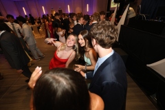 LT__3213
